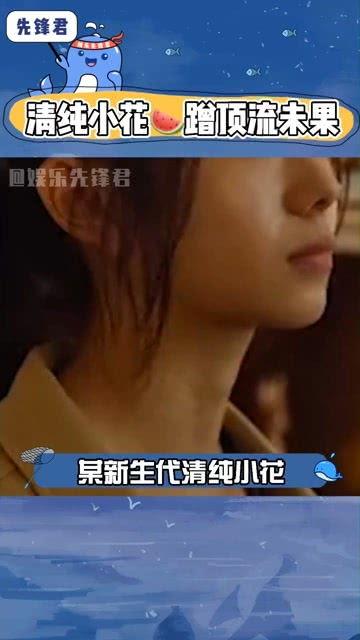 情感娱乐吃瓜酱,揭秘娱乐圈那些不为人知的幕后故事