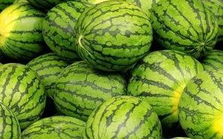 每日大赛吃瓜网直达,揭秘精彩赛事幕后故事