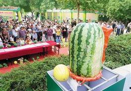 每日大赛吃瓜网入口,揭秘娱乐圈幕后风云，带你畅游八卦海洋