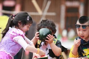 娱乐吃瓜组,吃瓜群众带你领略幕后风云