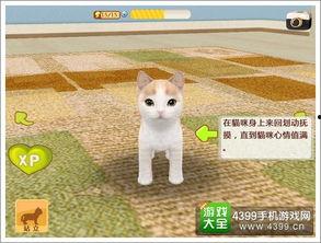 娱乐吃瓜君罗小猫,娱乐吃瓜界的“猫界网红”