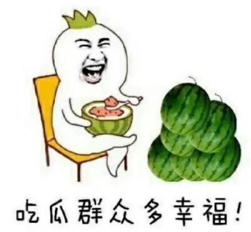 瓜圈吃瓜娱乐圈,揭秘娱乐圈的吃瓜盛宴