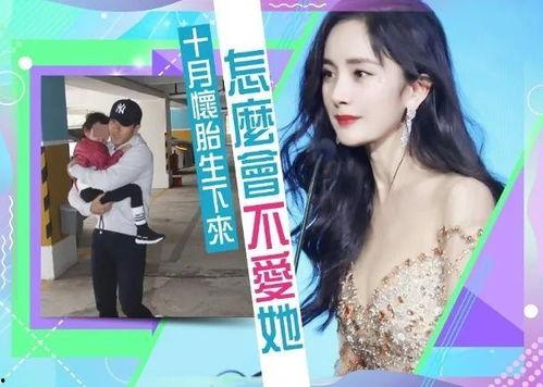 娱乐吃瓜君二豆妈,揭秘娱乐圈背后的故事与趣闻